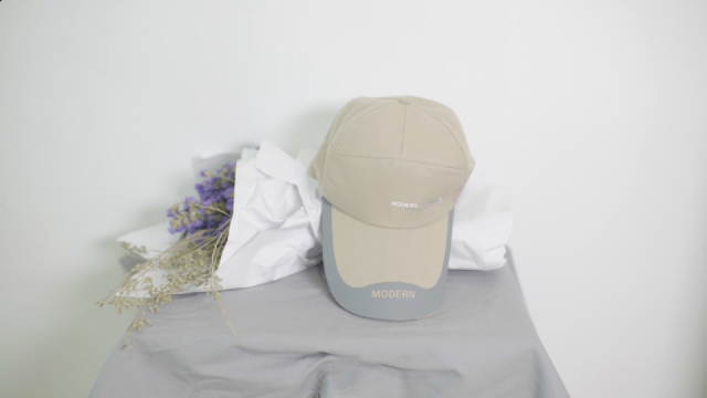 辽宁开展点对点帮扶加快推进保健食品注册品种落地投产