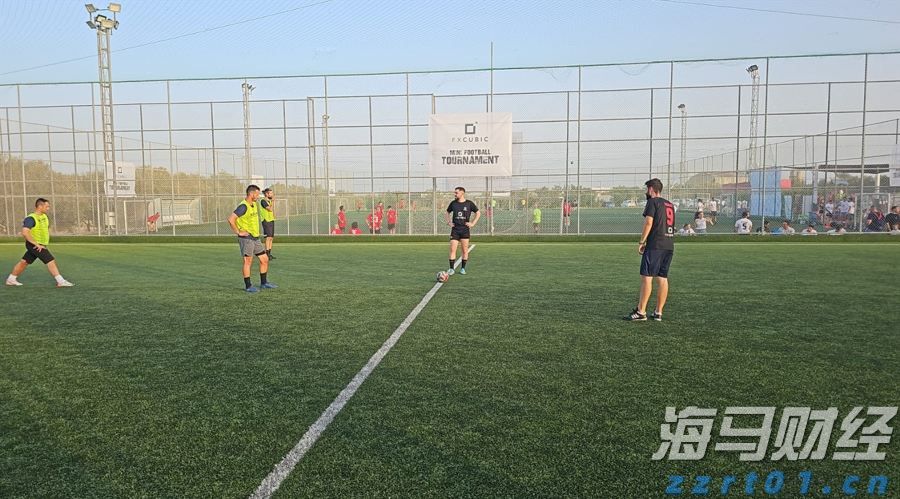 以故事为笔，绘就特区精神新图景