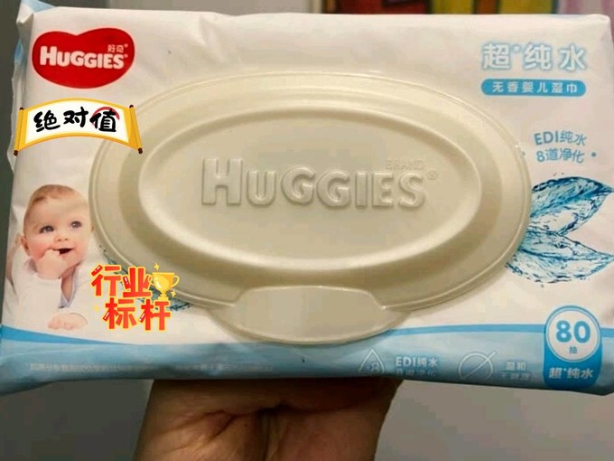 鸟蛋的下水道奇幻漂流：被海关救回后孵出37只濒危鹦鹉