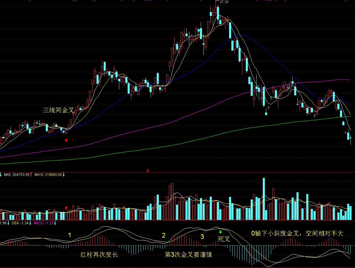 注意！河源新丰江水库今天17时开闸泄洪