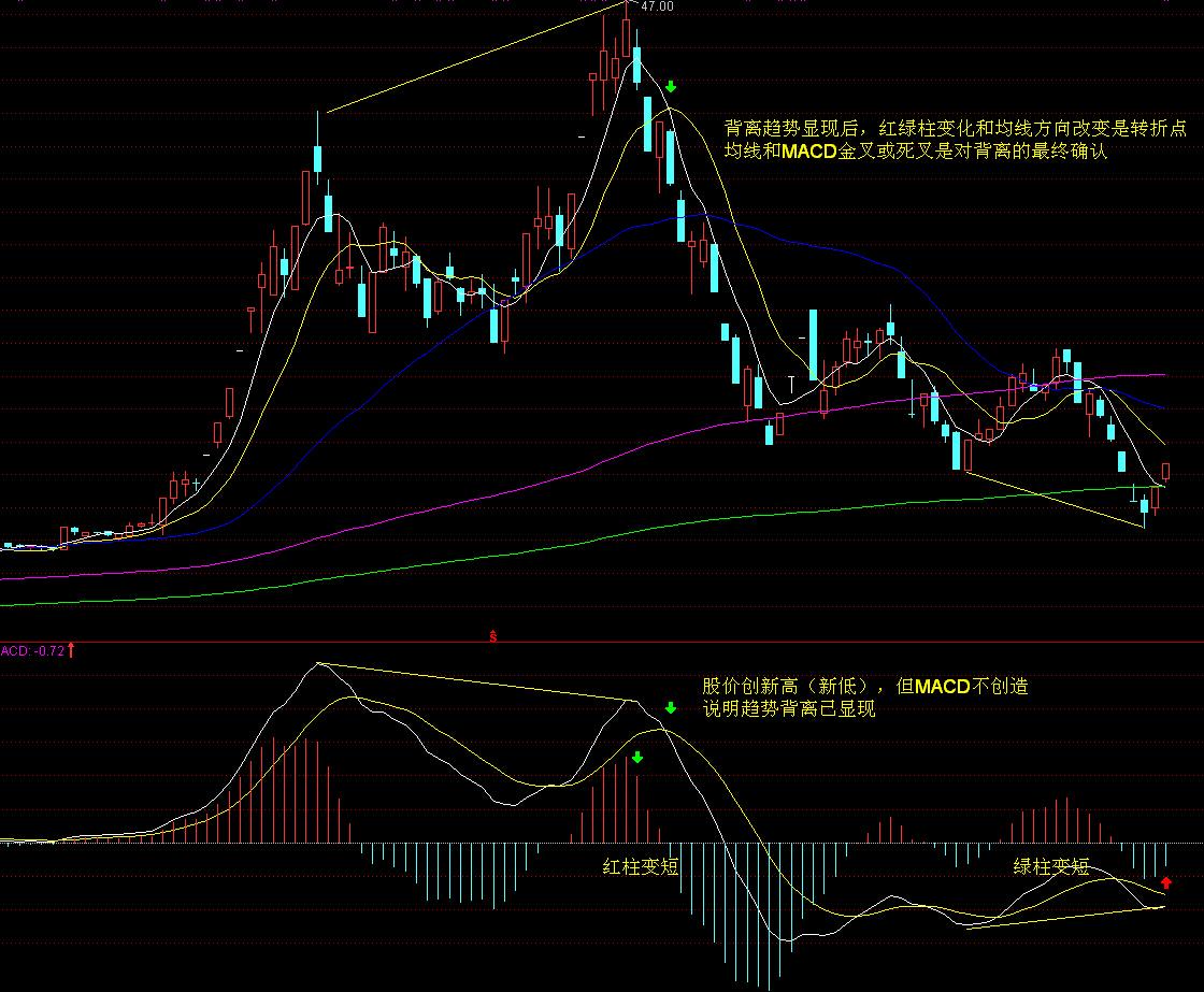 广东省市场监管局全面织密高考中考食品安全防护网 助力莘莘学子健康追梦