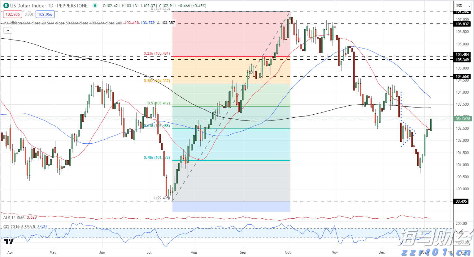 全国首单硇洲族大黄鱼亲本鱼保险落地！湛江平安产险筑牢海洋牧场防护栏
